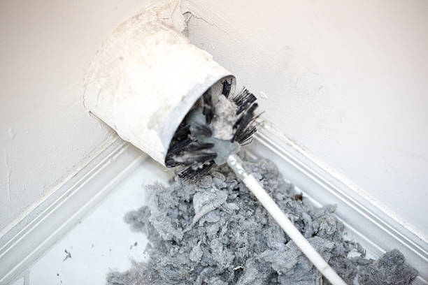 Best Air Duct Cleaning Near Me  in Walnut Creek, OH